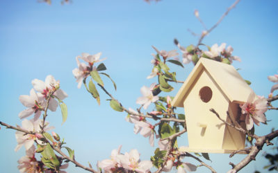 6 redenen waarom je niet moet wachten tot de lente om je woning te verkopen